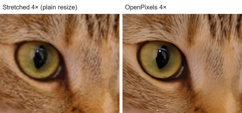 A small photo of a cat enlarged four times: plain resize on the left, OpenPixels on the right