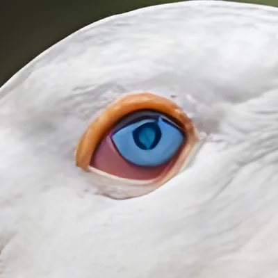 The eye after run 1: sharp edges, but the pupil is drawn as an irregular dark shape.