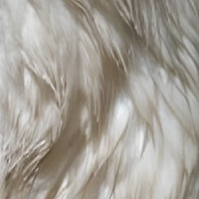 Neck feathers after run 2: clear feather shapes, smoother than the original.
